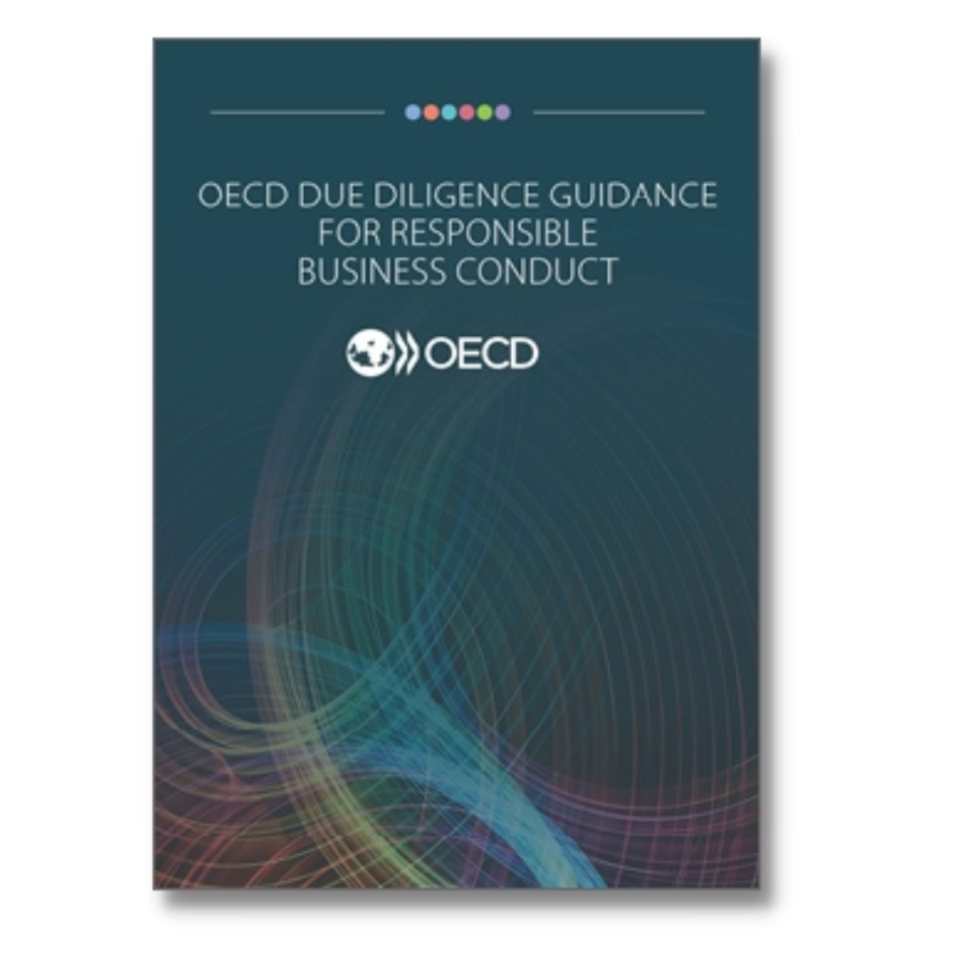 The Sustainability Buzzwords We See Trending In 2023   OECD Due Diligence Guidance For Responsible Business Conduct 